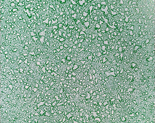 Порошковое покрытие фактуры Lime Sherbert